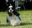 P1040673_.jpg
