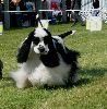 P1040678_.jpg
