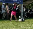 P1040683_.jpg