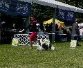 P1040684_.jpg