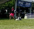 P1040686_.jpg