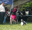 P1040688_.jpg