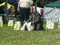 P1040702_.jpg
