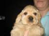 img_1268_small.jpg